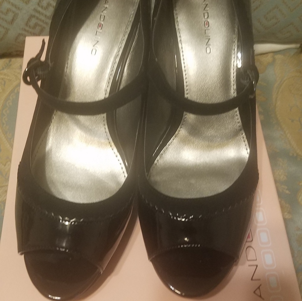 Ladies Suede and Patent Leather Shoe